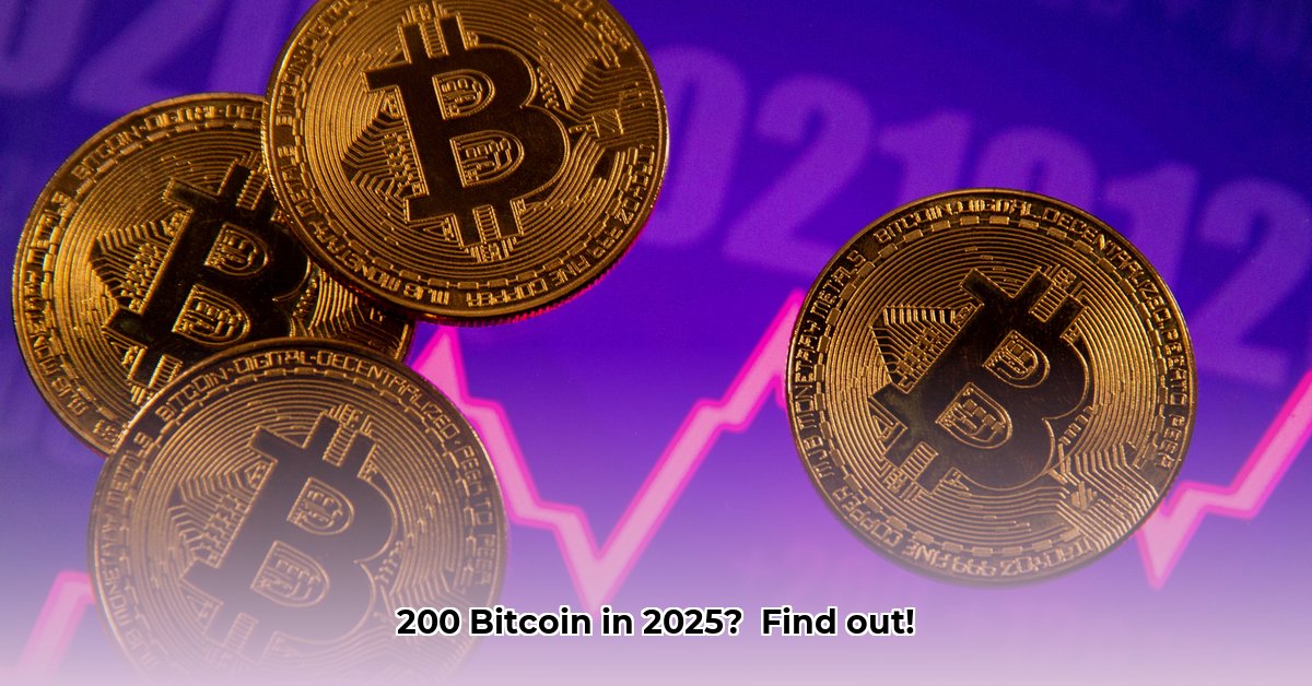 how-much-is-200-bitcoins-worth